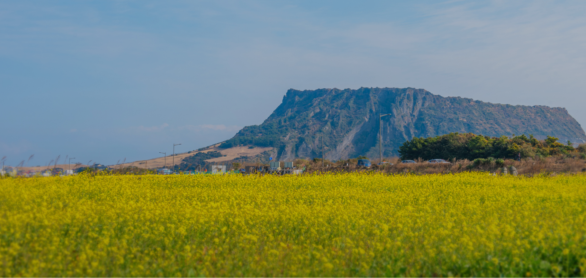 하나투어 제주